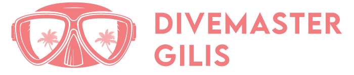 Divemaster Gilis